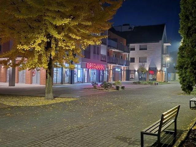 Adama Mickiewicza 182 m², Opalenica