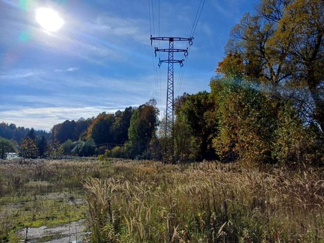 Adama Mickiewicza 27 800 m², Olszyna