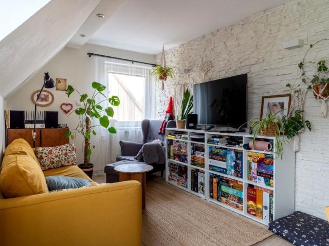 Adama Próchnika 47,10 m², Elbląg