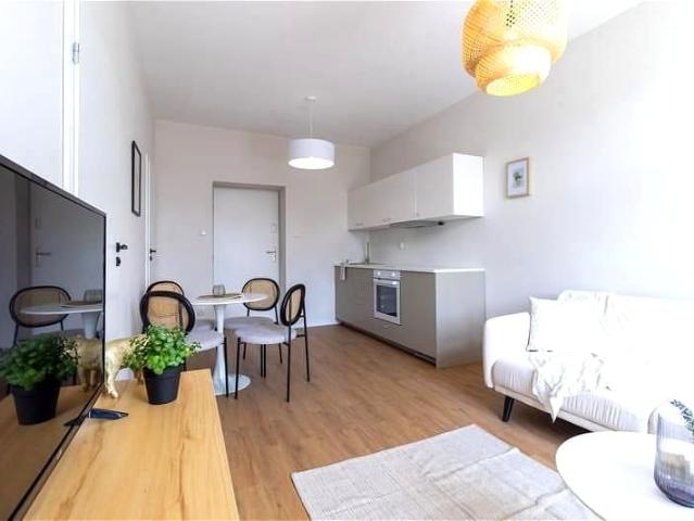 Adama Próchnika 47,17 m², Łódź