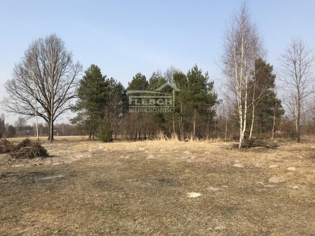 Adamowizna, 1 500 m2