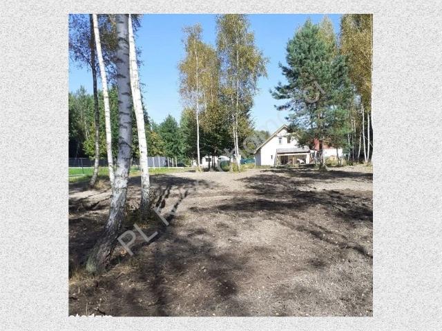 Adamowizna, 3 000 m2