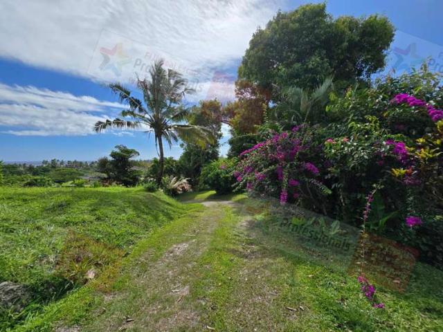 Address withheld, Maui Bay Estate