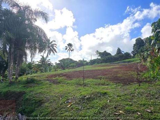 Address withheld, Savusavu