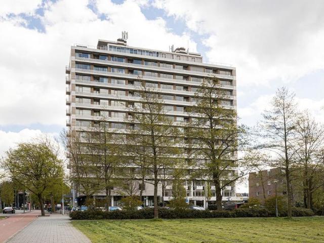 Adriaen van der Doeslaan 175, 3054EC, Rotterdam, Zuid Holland 3054EC