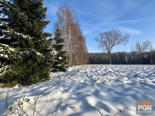 Działka 2134 m² z warunkami zabudowy w Ładzinie