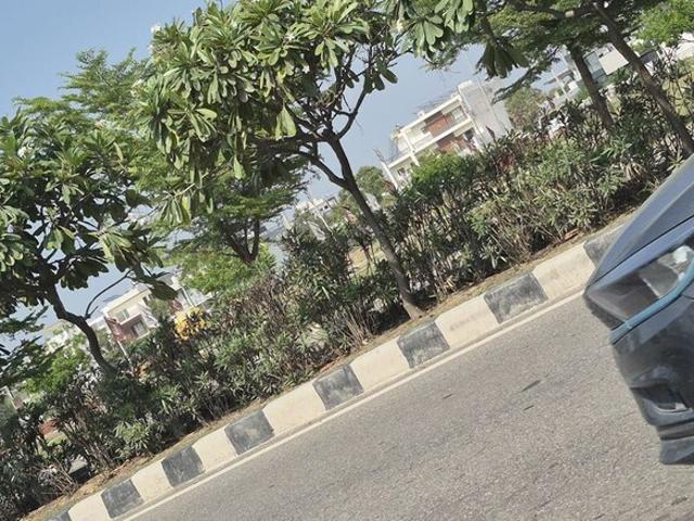 Aerocity Mohali Block c 500 Sq. Yd. Plot in Aerocity Mohali Listing ID: #10193