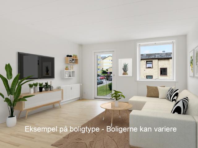 Afdelinger