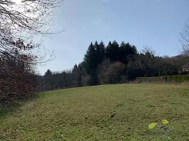 Affieux 19260 Achat / Vente terrain