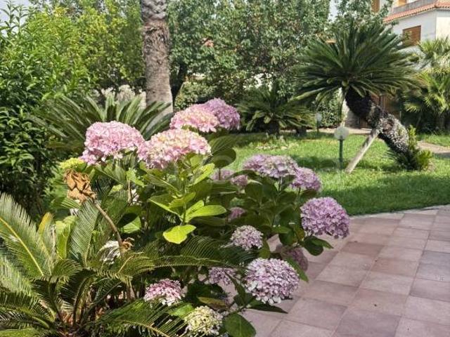 Affittasi casa indipendente a San Felice Circeo via Achille, 7A