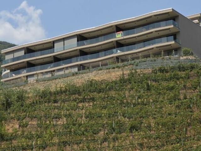 Affittasi a Bioggio 2.5 locali con vista lago e raffrescamento