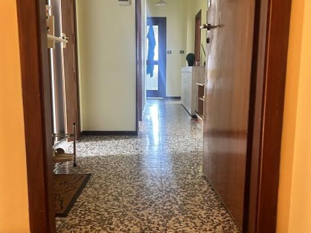 Affittasi a ragazza studentessa ampia camera in trilocale Pavia