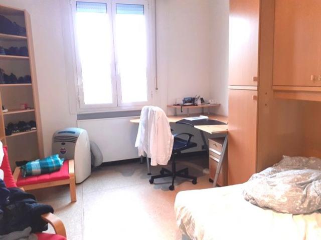 AFFITTO AMPIA CAMERA SINGOLA BOLOGNA CENTRO STORICO