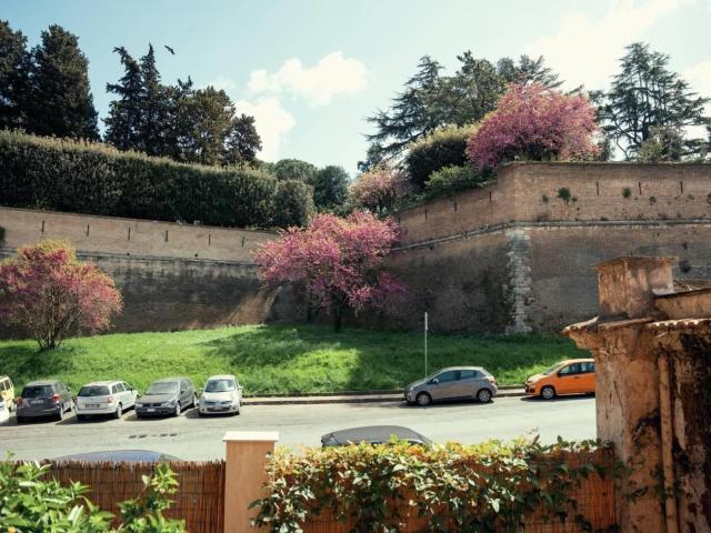 Affittasi Appartamento, Musei Vaticani locazione e cessione attività Annunci Roma Roma Rif.639147