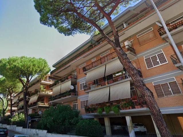 Affittasi Appartamento, MONOLOCALE AMPIO IN ZONA VILLA BONELLI Annunci Roma Roma Rif.513604