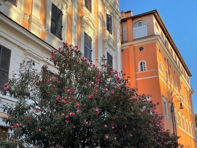 Affittasi Appartamento, Monti Colle Oppio Annunci Roma Roma Rif.639118