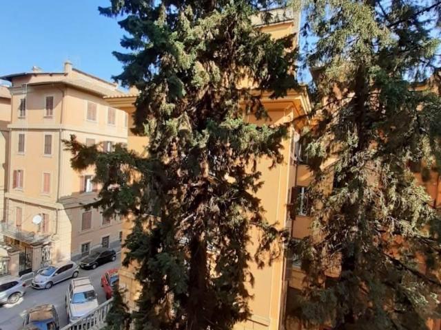 Affittasi Appartamento, NOMENTANA VILLA TORLONIA Annunci Roma, Zona Bologna Rif.627568