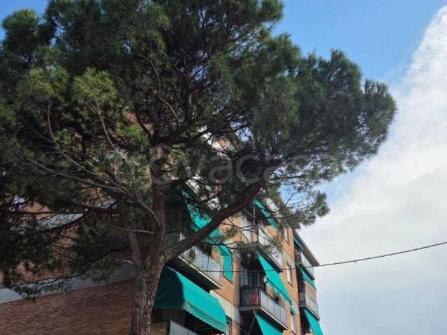 Affittasi appartamento a Bologna via Speranza, Santa Viola