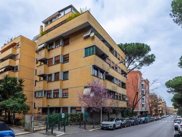 Affittasi Appartamento, AFFITTO TRANSITORIO BILOCALE RISTRUTTURATO E ARREDATO Annunci Roma Roma Rif.640721