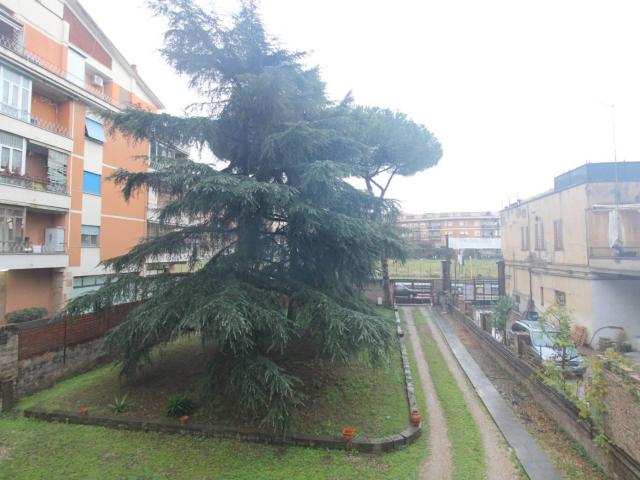 Affittasi Appartamento, ALESSANDRINO AMPIA STANZA MATRIMONILALE SOLO DONNE METRO C Annunci Roma Roma Rif.647622