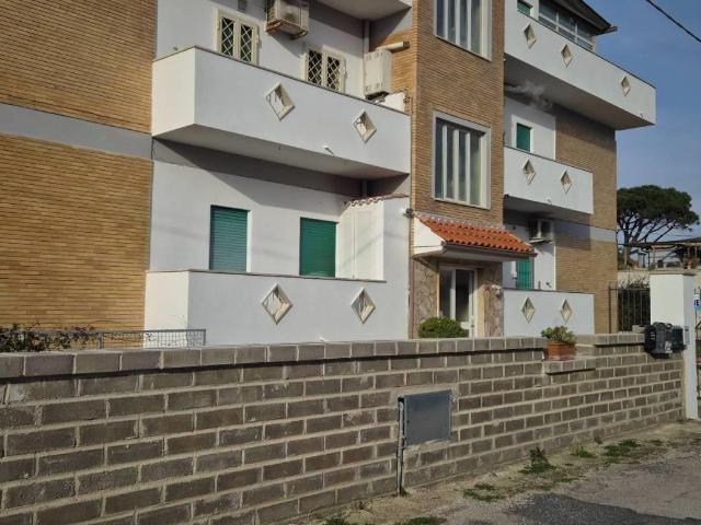 Affittasi Appartamento, Appartamento vicino al mare Annunci Anzio Roma Rif.625624