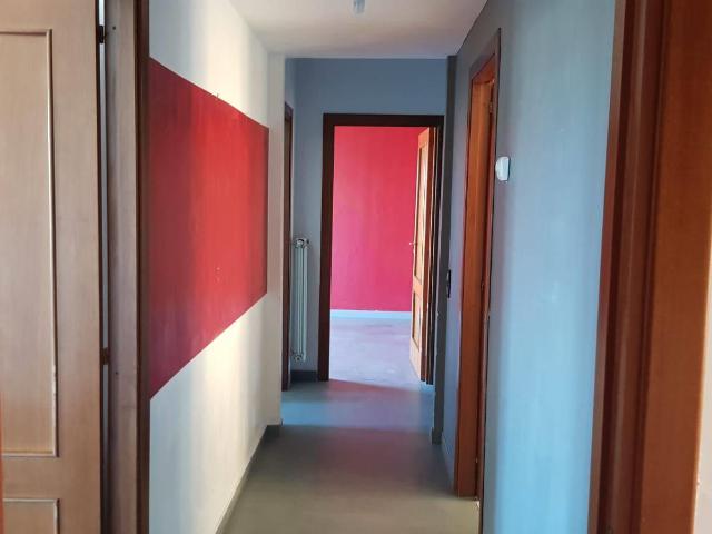 Affittasi Appartamento, appartamento in affitto in via arturo calza Annunci Roma Roma Rif.41139