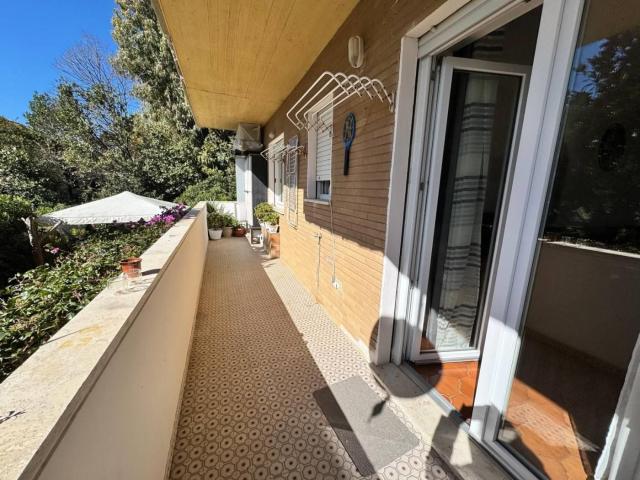 Affittasi Appartamento, APPARTAMENTO MQ 80 CON TERRAZZO E BALCONE PIANO TERRA Annunci Santa Marinella Roma Rif.649629