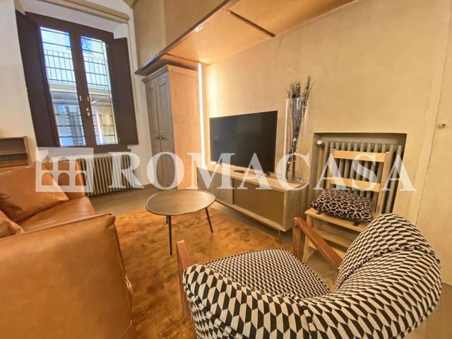 Affittasi Appartamento, CAMPO DE' FIORI Bellissimo Appartamento stile loft Annunci Roma Roma Rif.644193