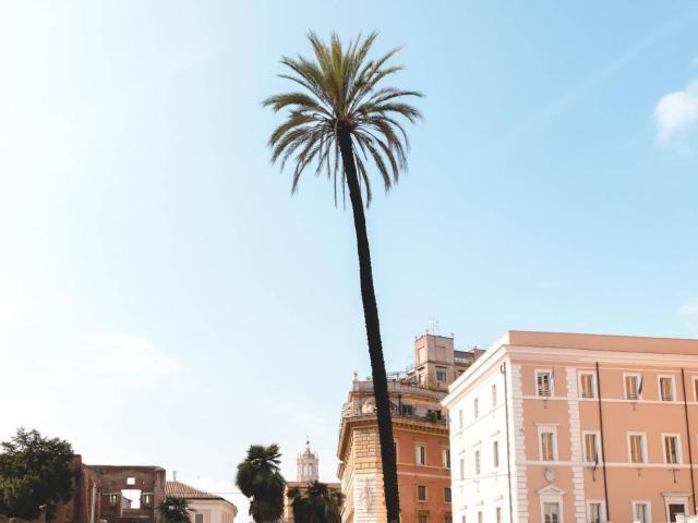 Affittasi Appartamento, CENTRO STORICO Appartamento 2locali €950 Rif A203 Annunci Roma Roma Rif.77242