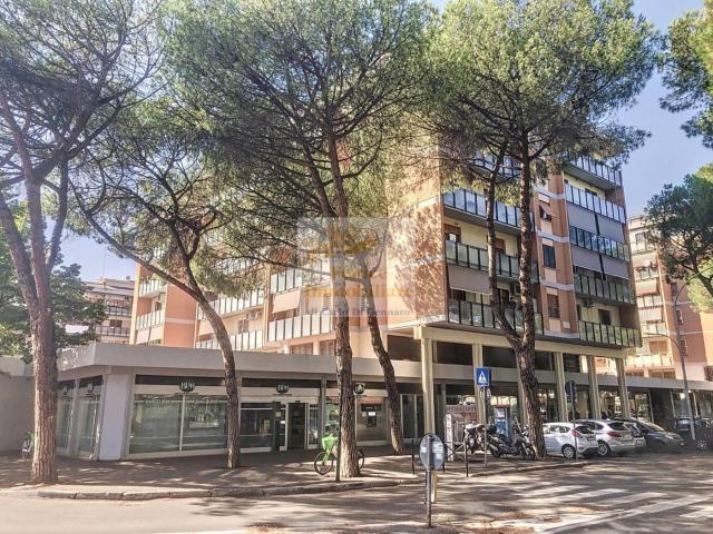 Affittasi Appartamento, Grande e luminoso appartamento via Baldovinetti Annunci Roma Roma Rif.626699