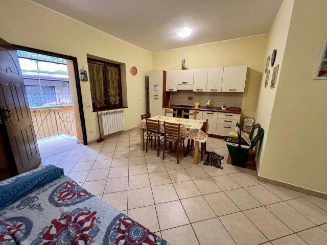 Affittasi Appartamento, Ladispoli Via Palermo piano terra in affitto Annunci Ladispoli Roma Rif.557119