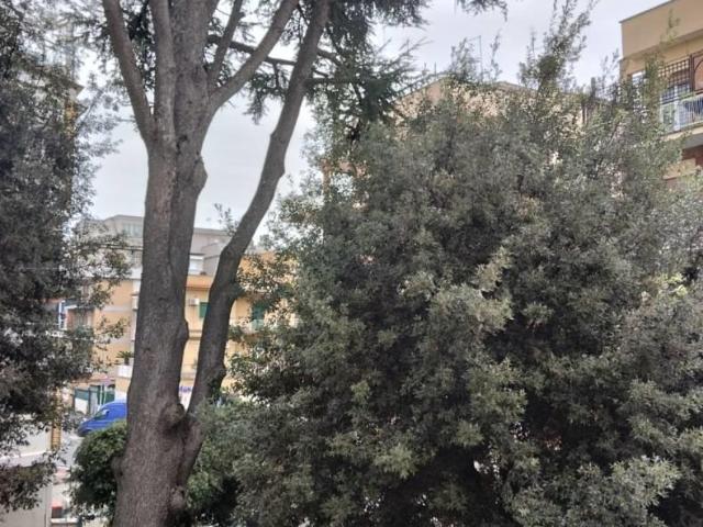 Affittasi Appartamento, PINETA SACCHETTI ADIACENZE GEMELLI Annunci Roma, Zona Torrevecchia Rif.615931