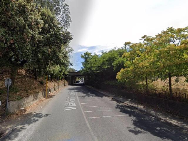 Affittasi Appartamento, PORTA FURBA Loft Con GIARDINO PRIVATO Annunci Roma Roma Rif.558151