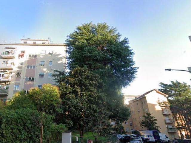 Affittasi Appartamento, QUADRILOCALE AMPIO IN ZONA JONIO Annunci Roma, Zona Nuovo Salario Rif.513623