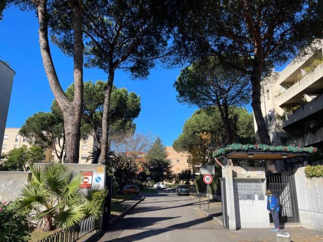 Affittasi Appartamento, Stanza in affitto in appartamento Annunci Roma, Zona Torrino Rif.626772