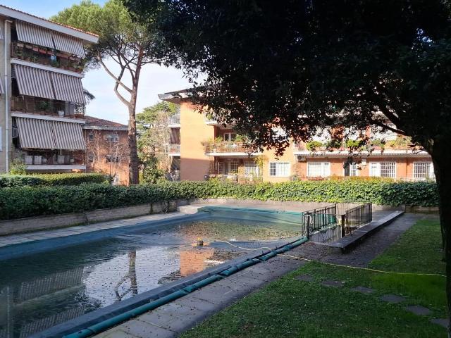 Affittasi Appartamento, Stanza singola Annunci Roma, Zona Nuovo Salario Rif.630373
