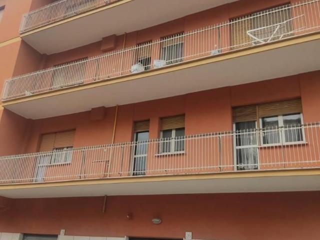 Affittasi Appartamento, Stanza singola Annunci Roma Roma Rif.631803