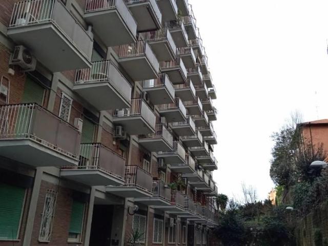 Affittasi Appartamento, SAN PIETRO Annunci Roma Roma Rif.633306