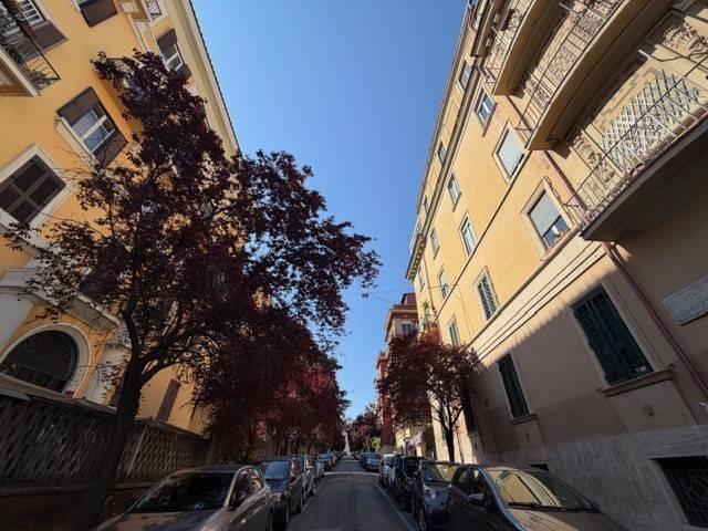 Affittasi Appartamento, Trieste/Verbano TRILOCALE IN LOCAZIONE Annunci Roma Roma Rif.636426