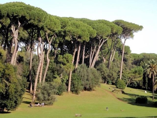 Affittasi Appartamento, VILLA ADA Annunci Roma Roma Rif.62592