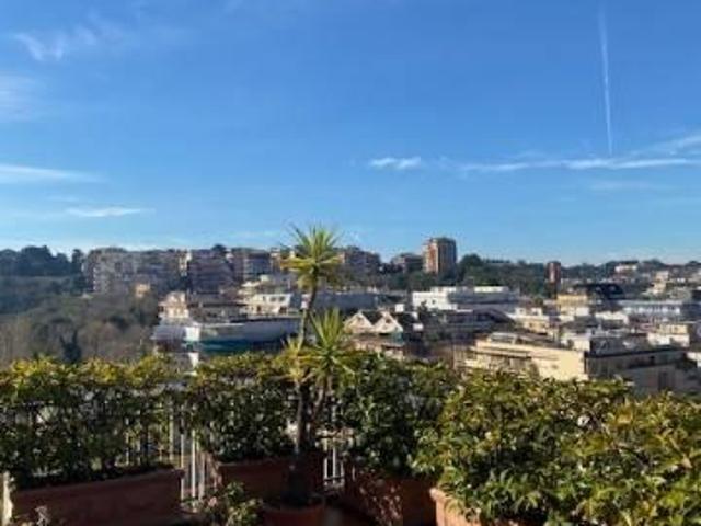 Affittasi Attico, Stanze in appartamento con terrazza Annunci Roma, Zona Prati Rif.639642
