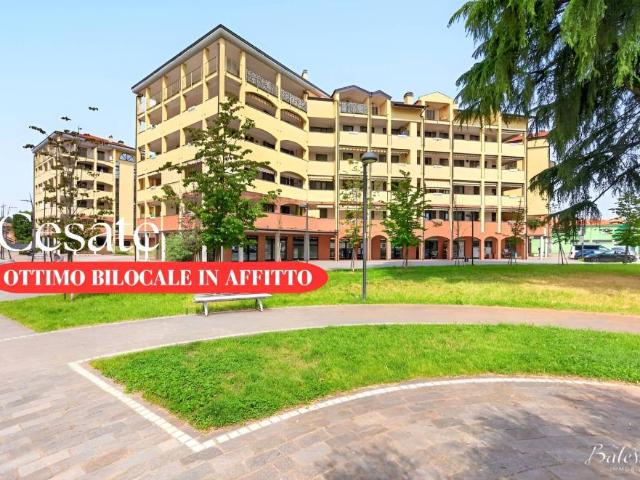 Affittasi bilocale a Cesate via Roma, 8