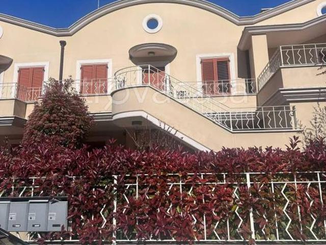 Affittasi bilocale a Civitanova Marche via Friuli