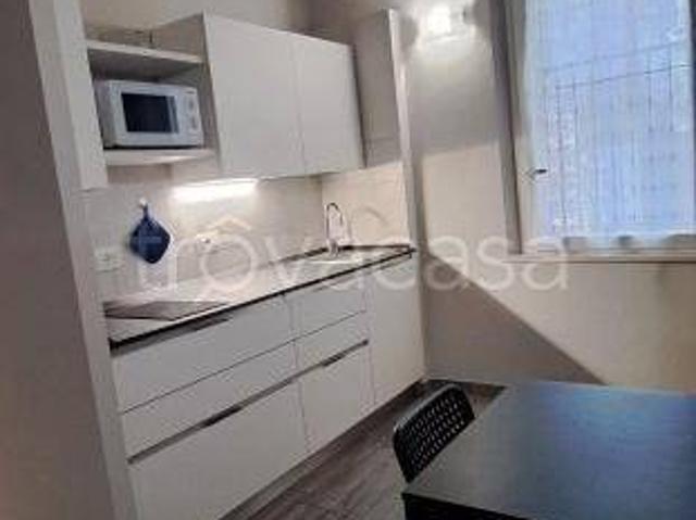 Affittasi bilocale a Mantova piazza Virgiliana, Centro