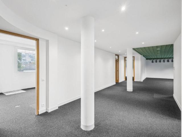 Office for rent in Lugano 185 m² | dreamo. Ch