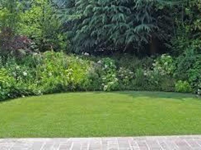 Affittasi Villa, Affittasi villino nei pressi di Via Della Camilluccia Annunci Roma Roma Rif.427272