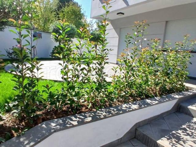 Affittasi villa bifamiliare a Frosinone