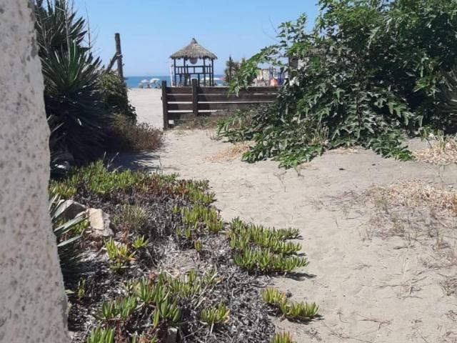 Affittasi Villa, FREGENE CASA INDIPENDENTE SULLA SPIAGGIA Annunci Fiumicino, Frazione Fregene Rif.631121
