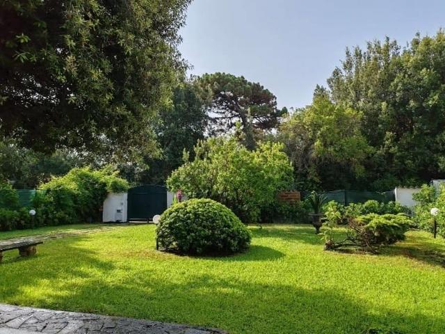Affittasi Villa, SETTEMBRE VILLA UNIFAMILIARE CON GIARDINO IN AFFITTO Annunci Fiumicino, Frazione Fregene Rif.643672