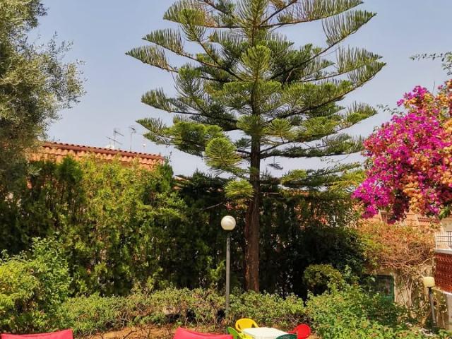 Affittasi villetta a Cirella dall’1 al 15 agosto e per tutto il mese di settembre